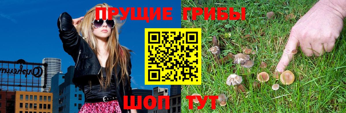 Галлюциногенные грибы прущие грибы Котовск