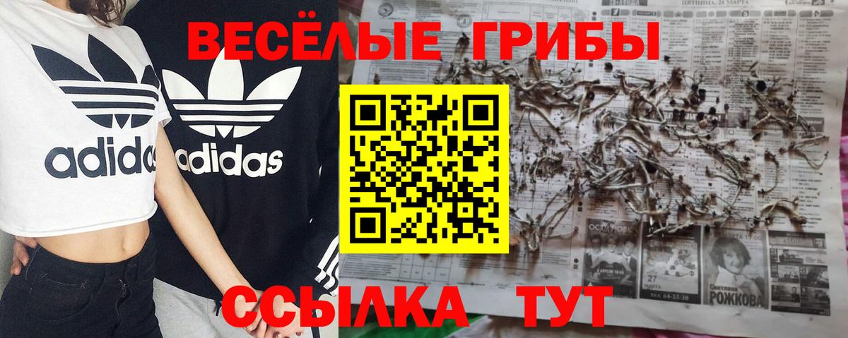 Псилоцибиновые грибы мухоморы  Вход с VPN  Котовск 